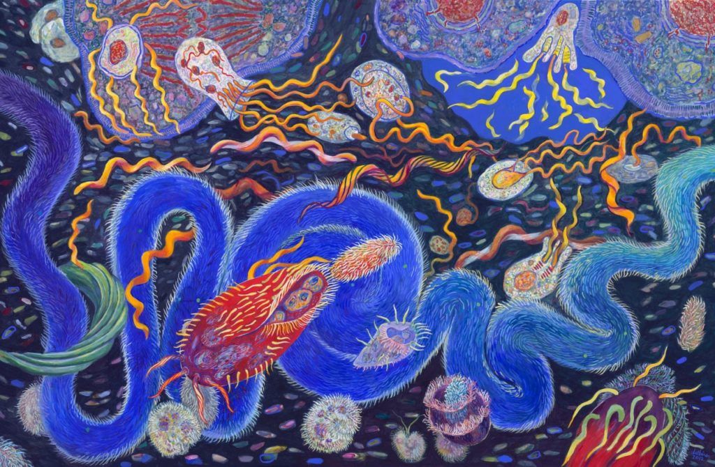 Haraway-Endosymbiose-dubiner_resultat-1024x670